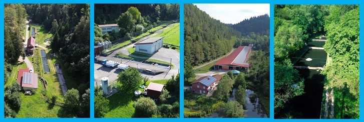 Betriebe Hofer Forellen